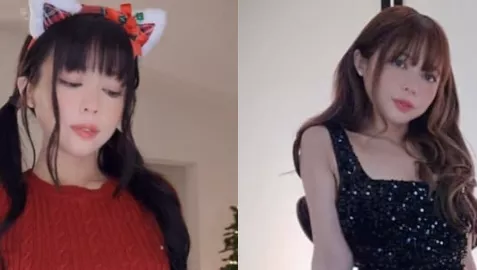 绯红小猫